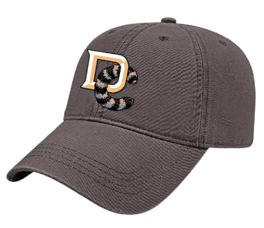 Minor/Independent/Collegiate League Baseball Logo/Uniform Changes